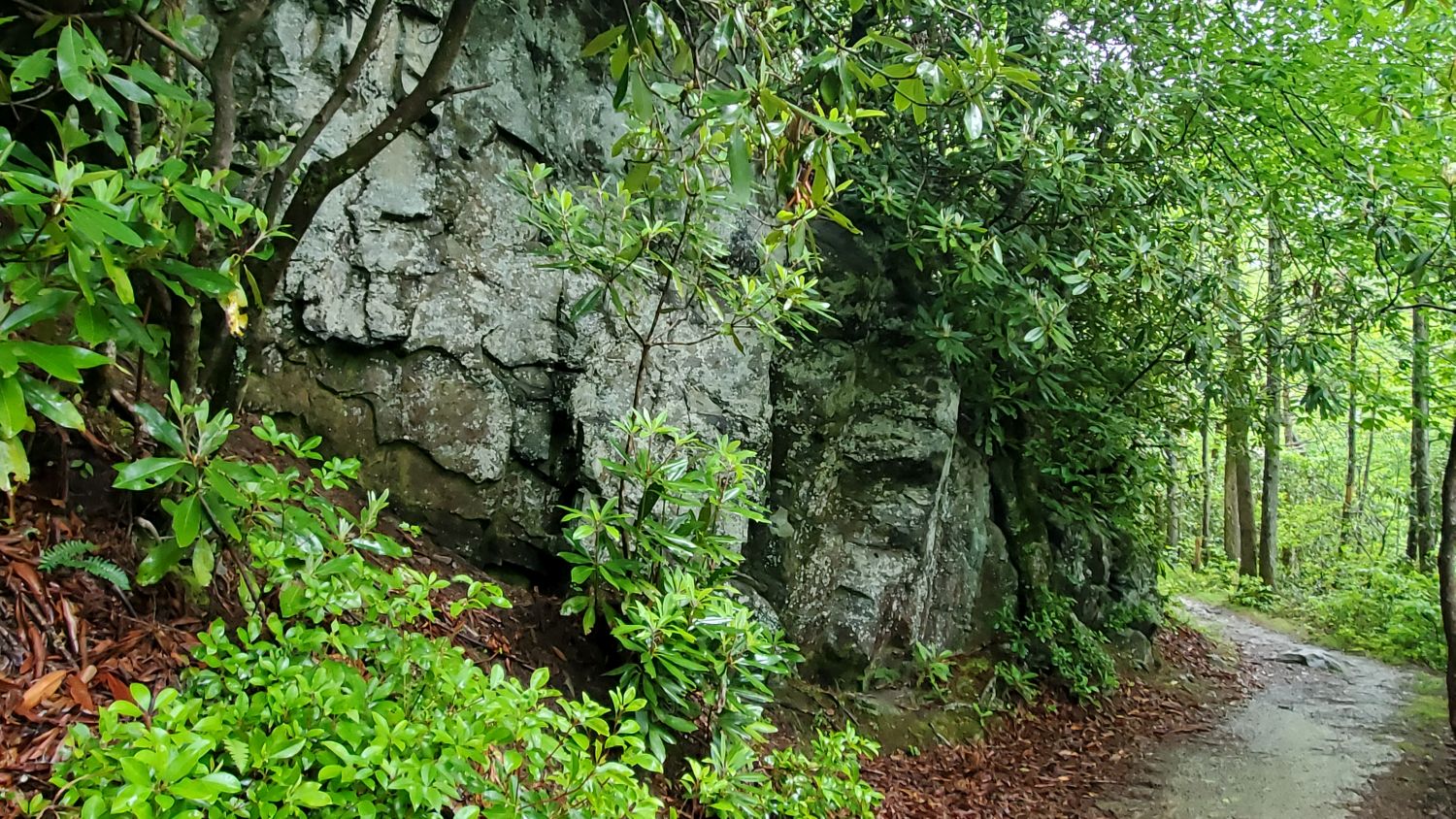 Old Sugarlands Trail 